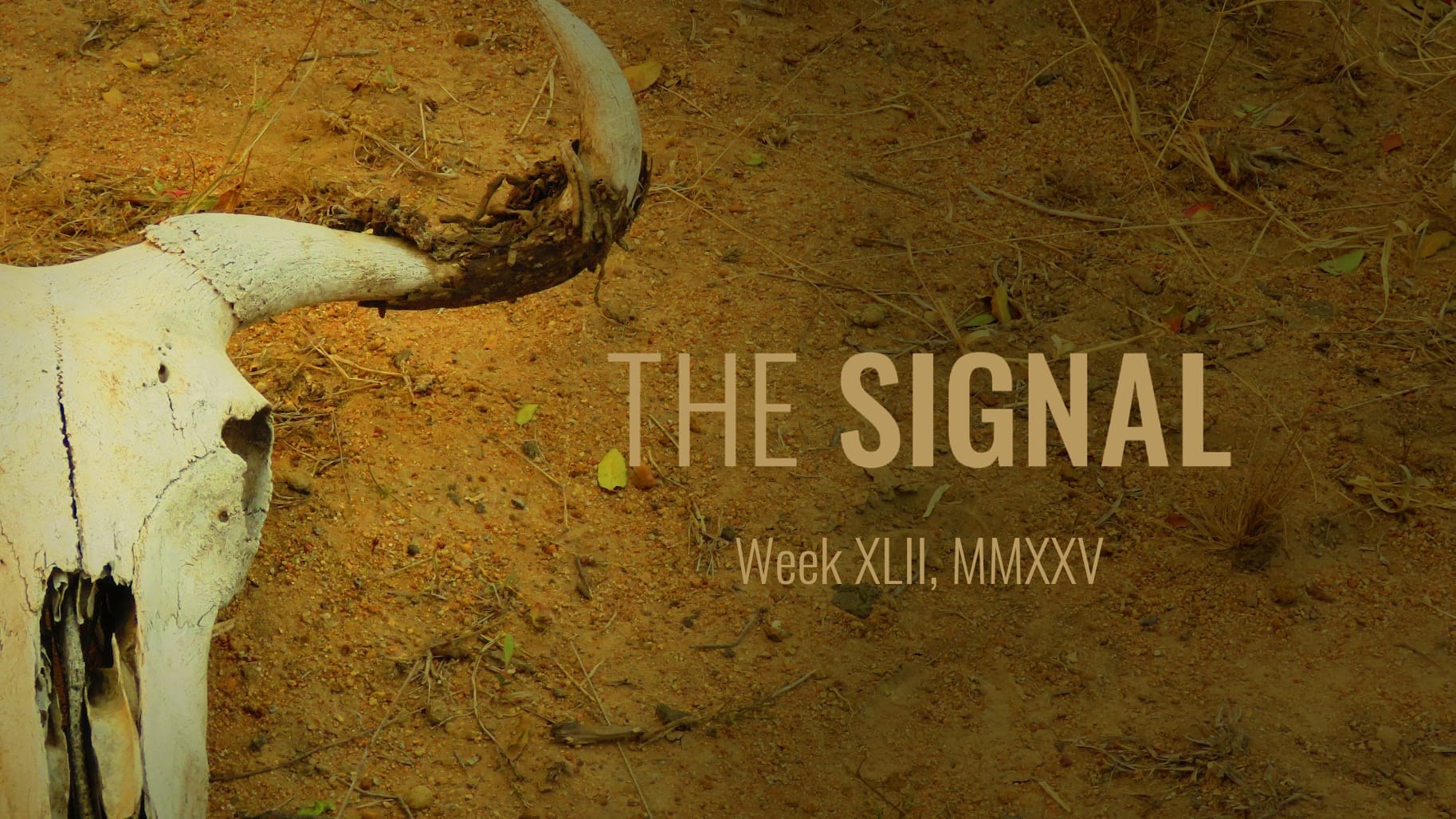 Look on my works, ye mighty