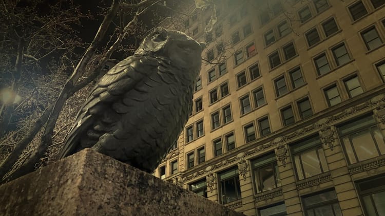 Who knows better about surprise